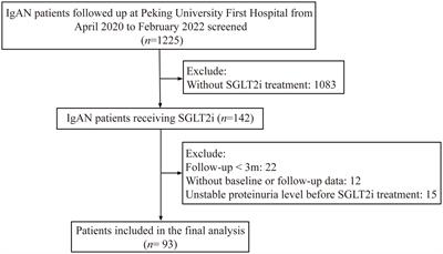 Effect of SGLT2 inhibitors on the proteinuria reduction in patients with IgA nephropathy